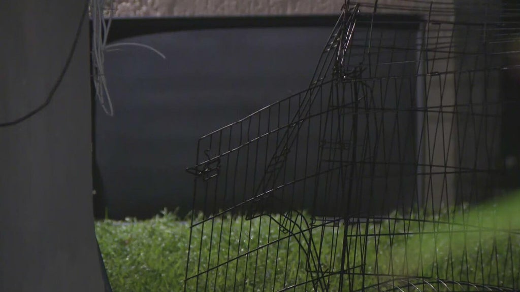 911 call captures frantic report of dog chasing, biting children in Miami — CBS Miami, Pasadena Health news
