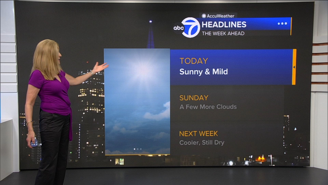 AccuWeather Forecast: Sunny and mild
— ABC 7 Bay Area, Pasadena Community news