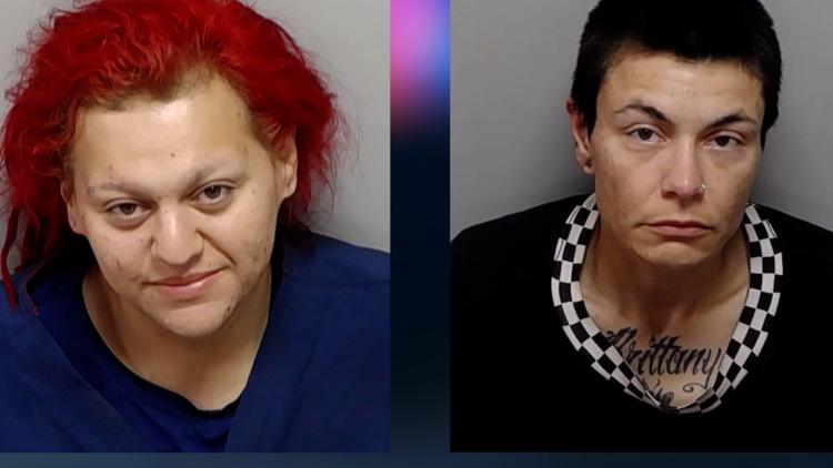 Dogs left to die while owners were passed out and intoxicated in nearby truck, San Antonio police say — KENS 5 (San Antonio), Pasadena Community news
