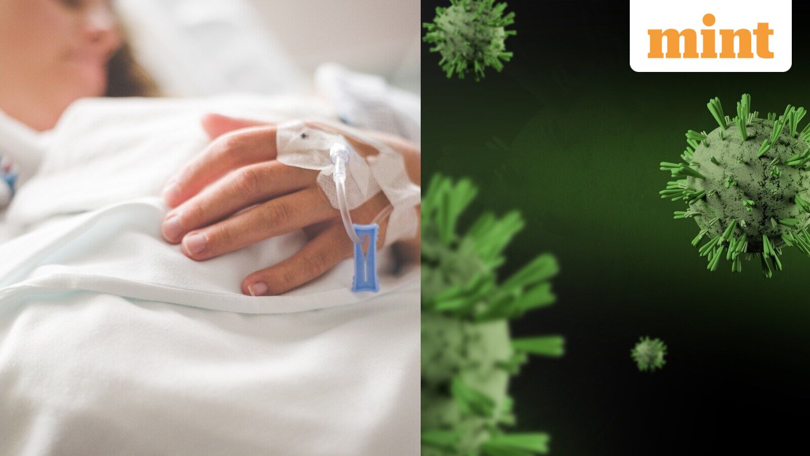 What is Shamonda virus? How is it transmitted? ECDC monitoring situation as France reports first, rare human case — Mint India, Pasadena Technology news